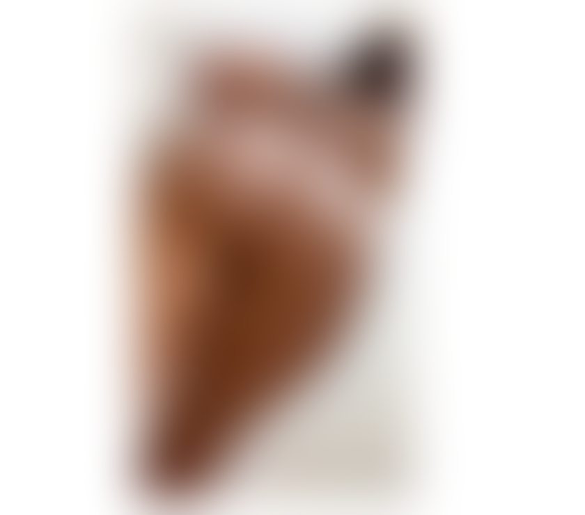 Escorts Essex Chelmsford - Photos for Gabriella fresh girl From Brasil